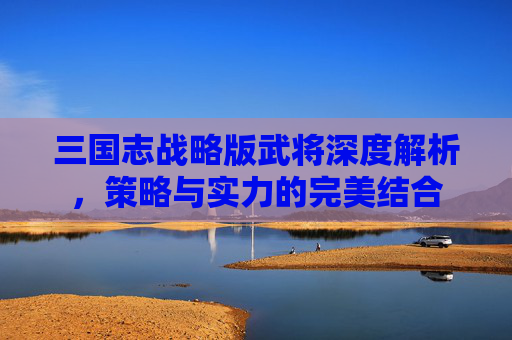 三国志战略版武将深度解析，策略与实力的完美结合