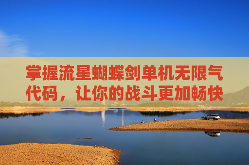 掌握流星蝴蝶剑单机无限气代码，让你的战斗更加畅快淋漓！