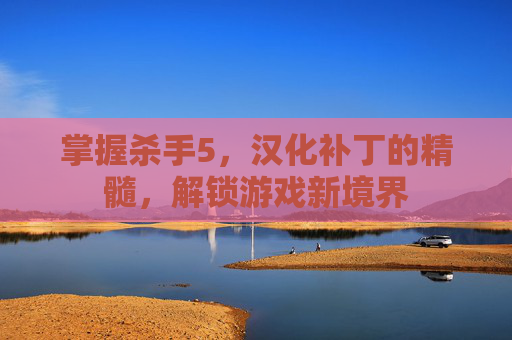 掌握杀手5,汉化补丁的精髓,解锁游戏新境界 掌握杀手5,汉化补丁的精髓,解锁游戏新境界