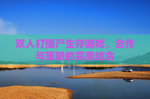 双人打僵尸生存游戏,合作与策略的完美结合 双人打僵尸生存游戏,合作与策略的完美结合