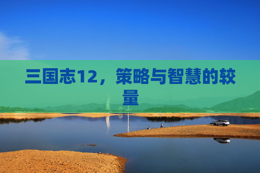 三国志12，策略与智慧的较量