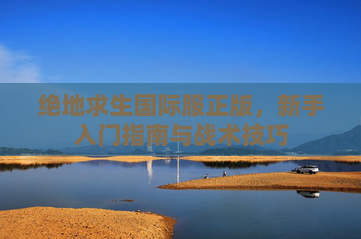 绝地求生国际服正版，新手入门指南与战术技巧