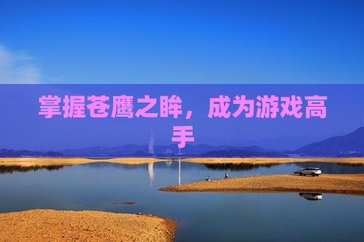 掌握苍鹰之眸，成为游戏高手