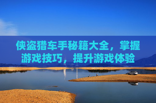 侠盗猎车手秘籍大全，掌握游戏技巧，提升游戏体验