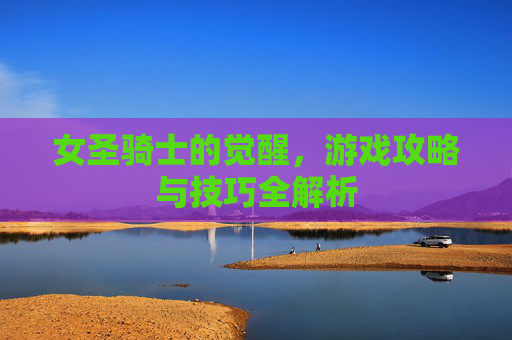 女圣骑士的觉醒，游戏攻略与技巧全解析
