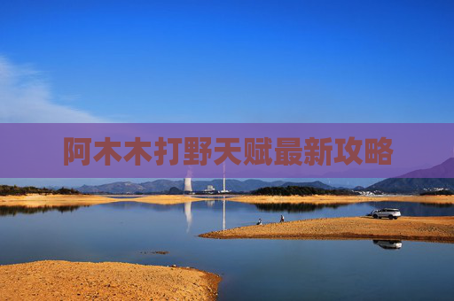 阿木木打野天赋最新攻略