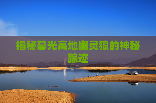 揭秘暮光高地幽灵狼的神秘踪迹