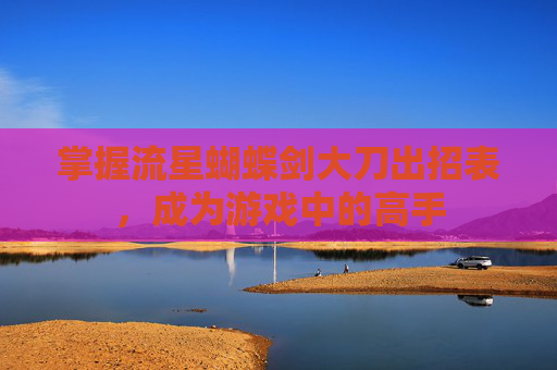 掌握流星蝴蝶剑大刀出招表，成为游戏中的高手