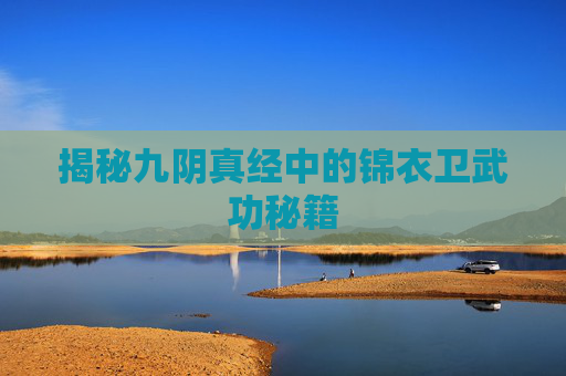 揭秘九阴真经中的锦衣卫武功秘籍