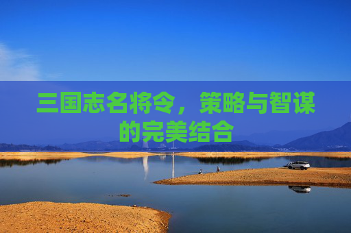 三国志名将令,策略与智谋的完美结合 三国志名将令,策略与智谋的完美结合