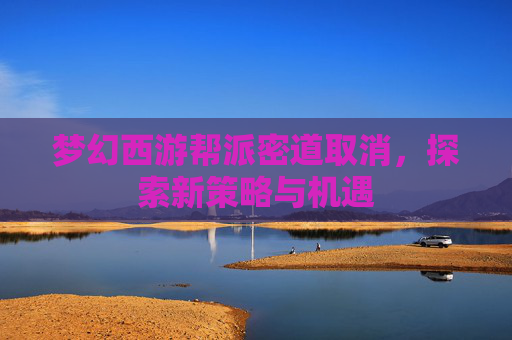 梦幻西游帮派密道取消，探索新策略与机遇