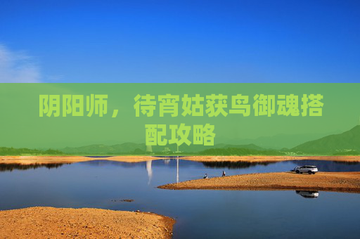 阴阳师，待宵姑获鸟御魂搭配攻略