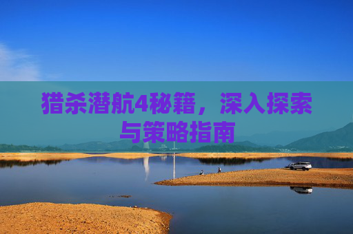 猎杀潜航4秘籍，深入探索与策略指南