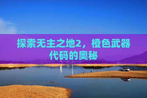 探索无主之地2，橙色武器代码的奥秘