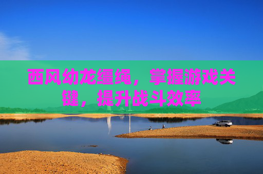 西风幼龙缰绳，掌握游戏关键，提升战斗效率