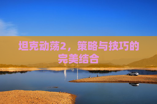 坦克动荡2，策略与技巧的完美结合