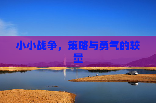 小小战争，策略与勇气的较量