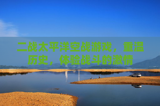 二战太平洋空战游戏，重温历史，体验战斗的激情