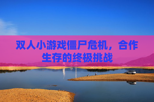 双人小游戏僵尸危机,合作生存的终极挑战 双人小游戏僵尸危机,合作生存的终极挑战