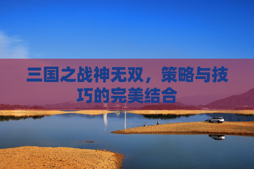 三国之战神无双，策略与技巧的完美结合