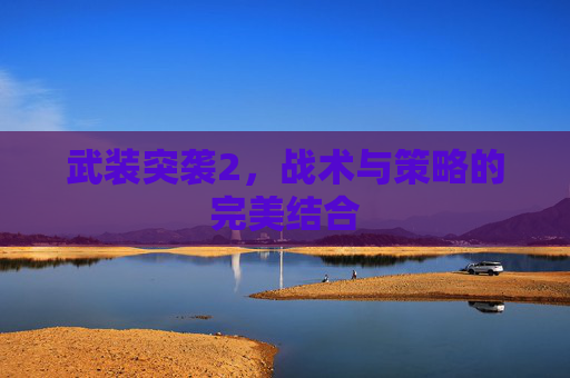 武装突袭2，战术与策略的完美结合