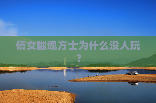 倩女幽魂方士为什么没人玩？