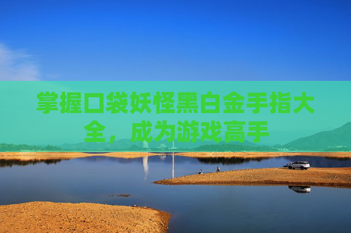 掌握口袋妖怪黑白金手指大全，成为游戏高手