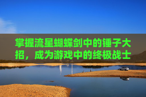 掌握流星蝴蝶剑中的锤子大招，成为游戏中的终极战士
