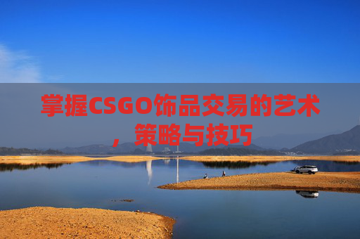 掌握CSGO饰品交易的艺术，策略与技巧