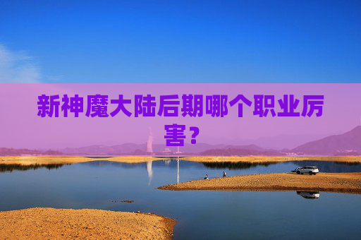 新神魔大陆后期哪个职业厉害？