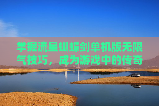 掌握流星蝴蝶剑单机版无限气技巧，成为游戏中的传奇玩家