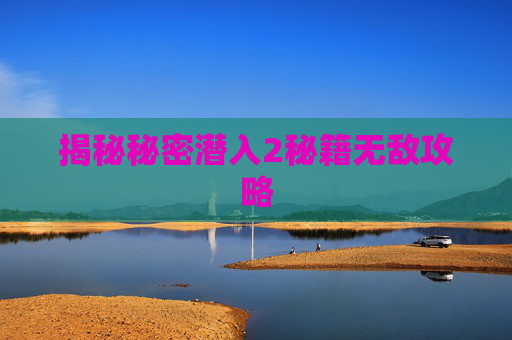 揭秘秘密潜入2秘籍无敌攻略
