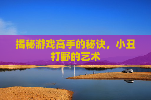揭秘游戏高手的秘诀,小丑打野的艺术 揭秘游戏高手的秘诀,小丑打野的艺术