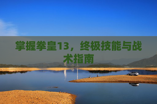掌握拳皇13，终极技能与战术指南