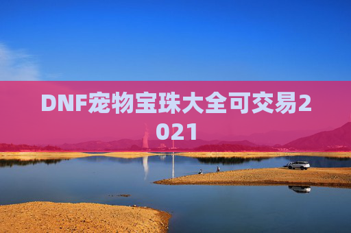 DNF宠物宝珠大全可交易2021