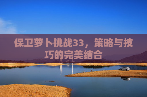 保卫萝卜挑战33,策略与技巧的完美结合 保卫萝卜挑战33,策略与技巧的完美结合