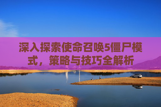 深入探索使命召唤5僵尸模式，策略与技巧全解析