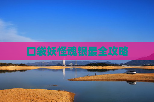 口袋妖怪魂银最全攻略