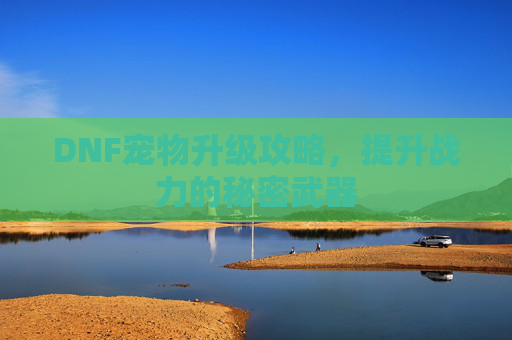 DNF宠物升级攻略，提升战力的秘密武器