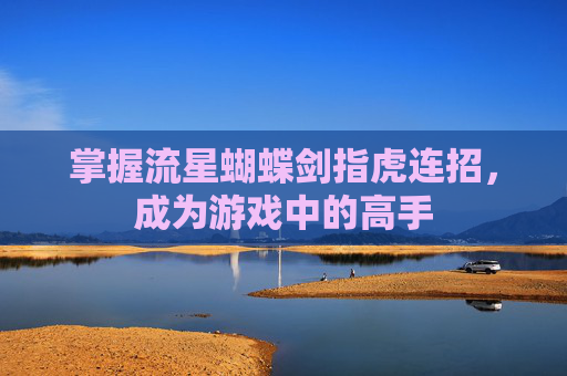 掌握流星蝴蝶剑指虎连招，成为游戏中的高手