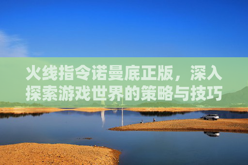 火线指令诺曼底正版，深入探索游戏世界的策略与技巧