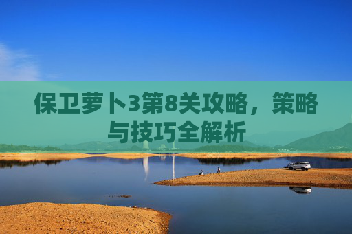 保卫萝卜3第8关攻略，策略与技巧全解析