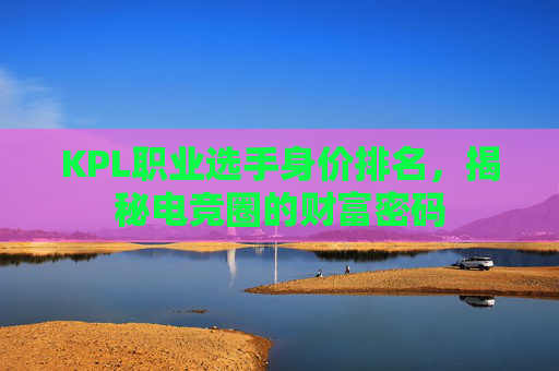 KPL职业选手身价排名，揭秘电竞圈的财富密码