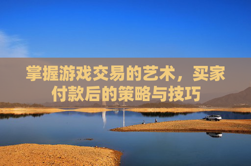 掌握游戏交易的艺术，买家付款后的策略与技巧