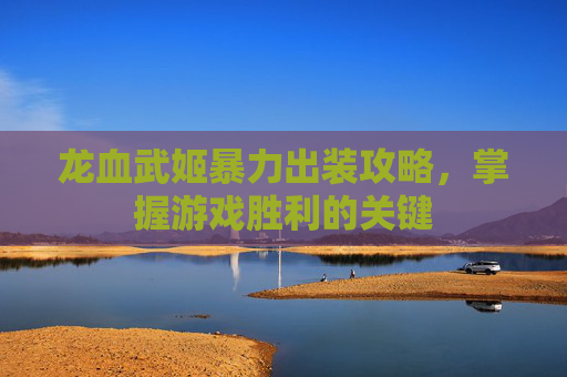 龙血武姬暴力出装攻略，掌握游戏胜利的关键