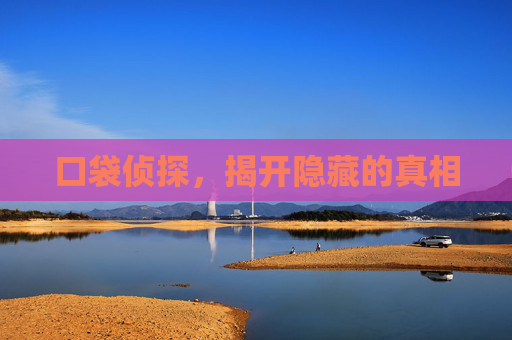 口袋侦探，揭开隐藏的真相