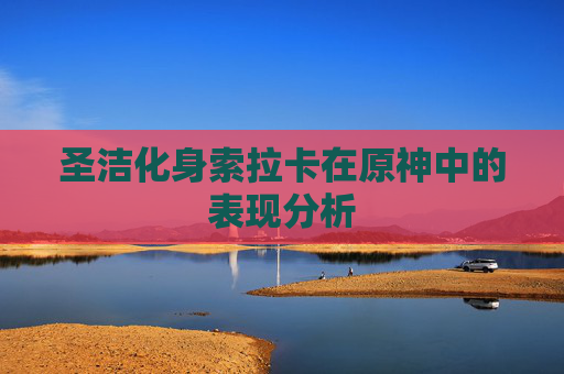 圣洁化身索拉卡在原神中的表现分析