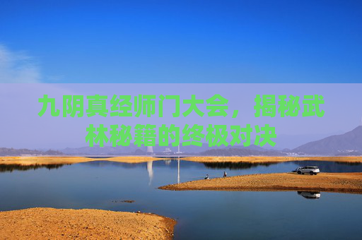 九阴真经师门大会,揭秘武林秘籍的终极对决 九阴真经师门大会,揭秘武林秘籍的终极对决