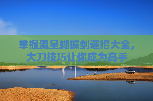 掌握流星蝴蝶剑连招大全，大刀技巧让你成为高手