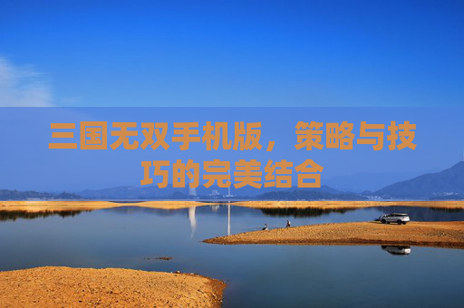 三国无双手机版，策略与技巧的完美结合